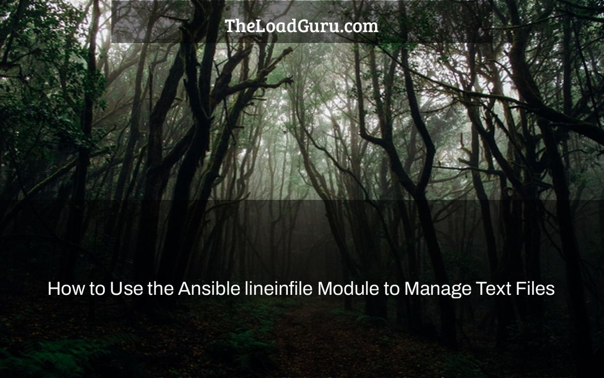 how-to-use-the-ansible-lineinfile-module-to-manage-text-files-the